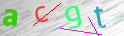 Click to refresh page