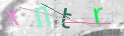 点击刷新