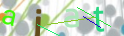 Click to refresh page
